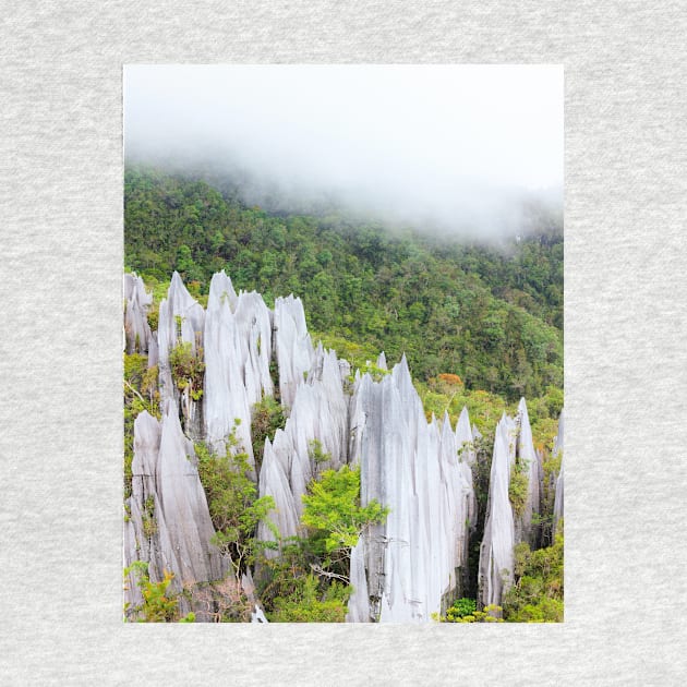Limestone pinnacles at gunung mulu national park by Juhku